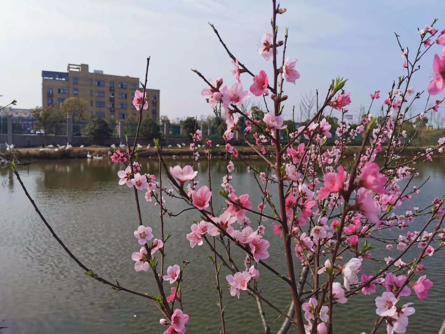 昊東食品向著“花園式廠房”前進(jìn)